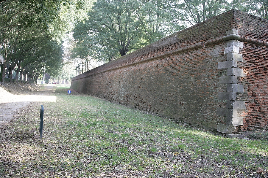 Img 161.jpg